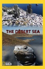 Пустынное море