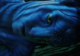 Фильм Аватар / Avatar (2009) - cцена 5