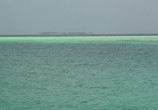 Сцена из фильма Мальдивы: Впечатления. Великолепные острова / Malediven: HD Impressionen Traumhafter Inseln (2011) Мальдивы: Впечатления. Великолепные острова сцена 4