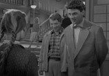 Фильм Приходите завтра (1963) - cцена 4