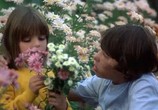 Фильм Осторожно, смотрят дети / Attention, les enfants regardent (1978) - cцена 1