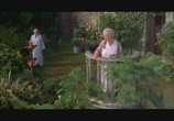 Сцена из фильма Дамы в лиловом / Ladies in Lavender (2004) Дамы в лиловом сцена 1
