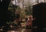 Сцена из фильма Звери и хозяин заставы / Animals with the Tollkeeper (1998) Звери и хозяин заставы сцена 7