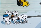 Сцена из фильма Снупи представляет: новогодний праздник с Люси / Snoopy Presents: For Auld Lang Syne (2021) 
