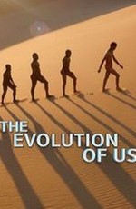 Наша эволюция