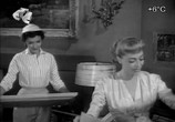 Сцена из фильма Женщина без мужчин / No Man's Woman (1955) Женщина без мужчин сцена 2