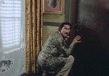 Сцена из фильма Папенькин сынок / Il gatto mammone (1975) Папенькин сынок сцена 8