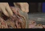 Сцена из фильма Анатомия для начинающих / Anatomy for Beginners (2005) Анатомия для начинающих. Пищеварение сцена 13