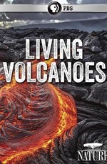 Жизнь на вулкане