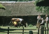 Фильм Ореховый хлеб / Riesutu duona (1977) - cцена 1