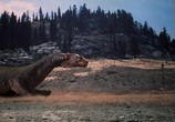 Сцена из фильма Чудовище озера Крейтер / The Crater Lake Monster (1977) Чудовище озера Крейтер сцена 5