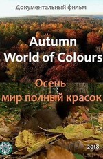Осень – мир, полный красок
