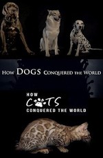 Как собаки и кошки захватили мир