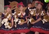 Сцена из фильма 12 рождественских собак 2: Чудесное спасение / 12 Dogs of Christmas II: Great Puppy Rescue (2012) 12 рождественских собак 2: Чудесное спасение сцена 6