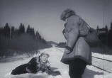 Сцена из фильма По ту сторону (1958) По ту сторону сцена 1