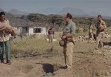 Сцена из фильма Сафари / Safari (1956) Сафари сцена 7