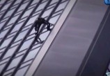 Сцена из фильма Ален Робер. Человек-паук / Alain Robert. Spiderman (2008) Ален Робер. Человек-паук сцена 8