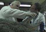 Сцена из фильма National Geographic: Секреты крокодила / National Geographic: Croc Inside Out (2015) National Geographic: Секреты крокодила сцена 5