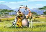Мультфильм Мадагаскар 2 / Madagascar: Escape 2 Africa (2008) - cцена 2