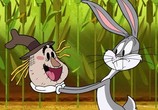 Сцена из фильма Кволик / Wabbit: A Looney Tunes Production (2015) Кволик сцена 9