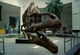 Сцена из фильма BBC. Аттенборо и гигантский динозавр / Attenborough and the Giant Dinosaur (2016) BBC. Аттенборо и гигантский динозавр сцена 12