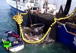 ТВ Морской дозор: защита китов с помощью оружия (2017) - cцена 2
