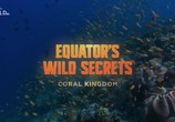 Сцена из фильма Необычная природа экватора / Equator's Wild Secrets (2019) Необычная природа экватора сцена 19