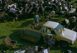 Сцена из фильма Цена молока / The Price of Milk (2000) 