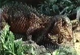 Сцена из фильма Возвращение динозавров / Return of the Dinosaurs (1983) Возвращение динозавров сцена 3