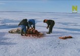 Сцена из фильма Тайны великанов Ледникового периода / Mystery of the Ice Age Giants (2019) Тайны великанов Ледникового периода сцена 6