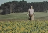 Сцена из фильма Голая графиня / Die nackte Gräfin (1971) Голая графиня сцена 3