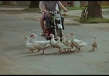 Сцена из фильма Семь веснушек / Sieben Sommersprossen (1978) Семь веснушек сцена 1
