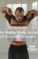 ВВС: Секреты человеческого тела