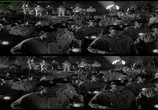 Сцена из фильма Месть твари / Revenge of the Creature (1955) Месть твари сцена 15
