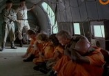 Сцена из фильма Заключенные на острове Рай / Caged in Paradiso (1990) Заключенные на острове Рай сцена 1
