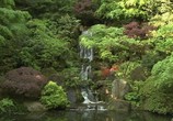 ТВ Живые Пейзажи: Сад камней (Дзен сад) / Living Landscapes: Zen Garden (2007) - cцена 1