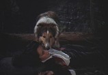 Сцена из фильма Храбрость Лэсси / Courage of Lassie (1946) Храбрость Лэсси сцена 9