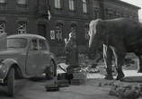 Сцена из фильма Солдат и слон (1978) Солдат и слон сцена 5
