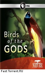 BBC: Живой мир (Мир природы): Райские птицы