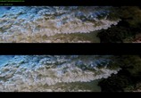 Сцена из фильма Чудеса моря в 3D / Wonders of the Sea 3D (2017) Чудеса моря в 3D сцена 3