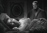 Сцена из фильма Дело доктора Лорана / Le cas du Dr Laurent (1957) Дело доктора Лорана сцена 2