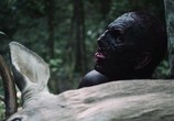 Сцена из фильма Девушка в лесу / Girl in Woods (2016) Девушка в лесу сцена 15