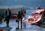 Сцена из фильма Белые киты / Skytturnar (1987) Белые киты сцена 3