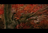 Фильм Легенда о Нараяме / Narayama bushiko (1958) - cцена 3