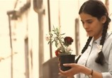 Сцена из фильма Поединки: Правдивая история. Тегеран 43 (2011) 