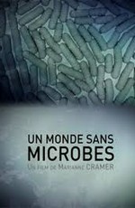 Мир без микробов