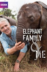 ВВС: Знакомство со слонами