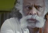 Сцена из фильма Поле битвы / Aadukalam (2011) Поле битвы сцена 3