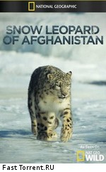 National Geographic Wild: Снежный барс Афганистана