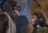 Фильм Планета обезьян / Planet Of The Apes (1968) - cцена 3